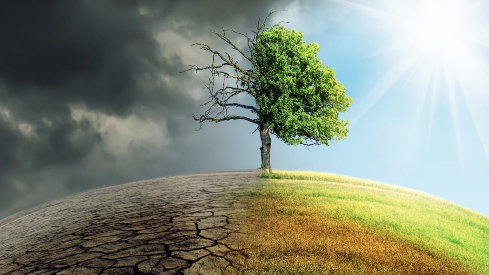 Klimaschutz statt Lobbymacht